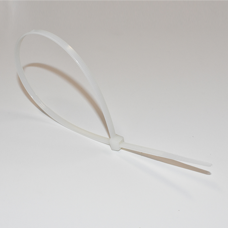 Coast Cable Ties White